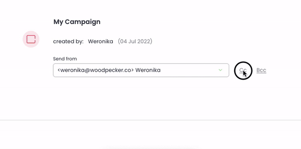 CC and Bcc options in a campaign edit view