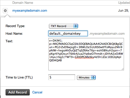 Example of the DNS record under Domain Name settings